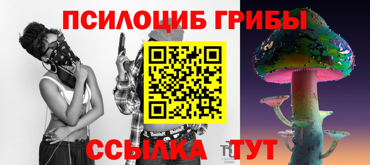 купить наркотик  Псилоцибиновые грибы мухоморы  Вход с VPN  Магадан 